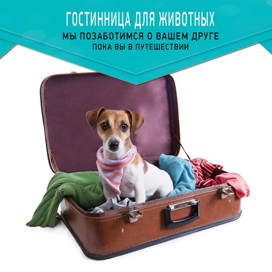 Баннеры для ФБ: Креативы