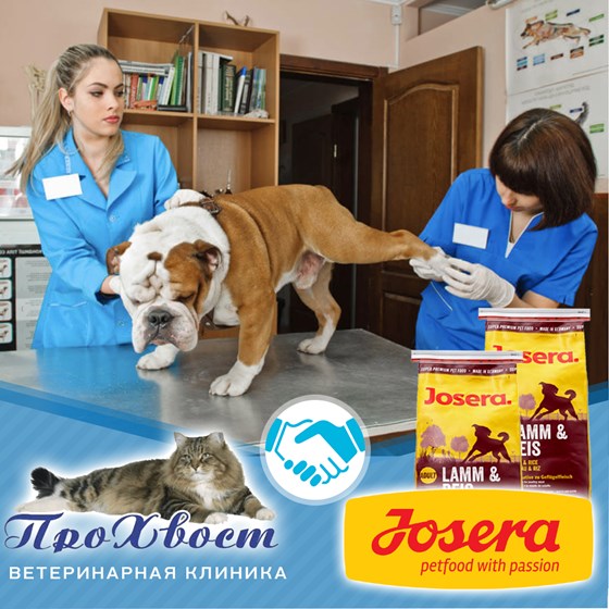 Баннеры для ФБ: Креативы